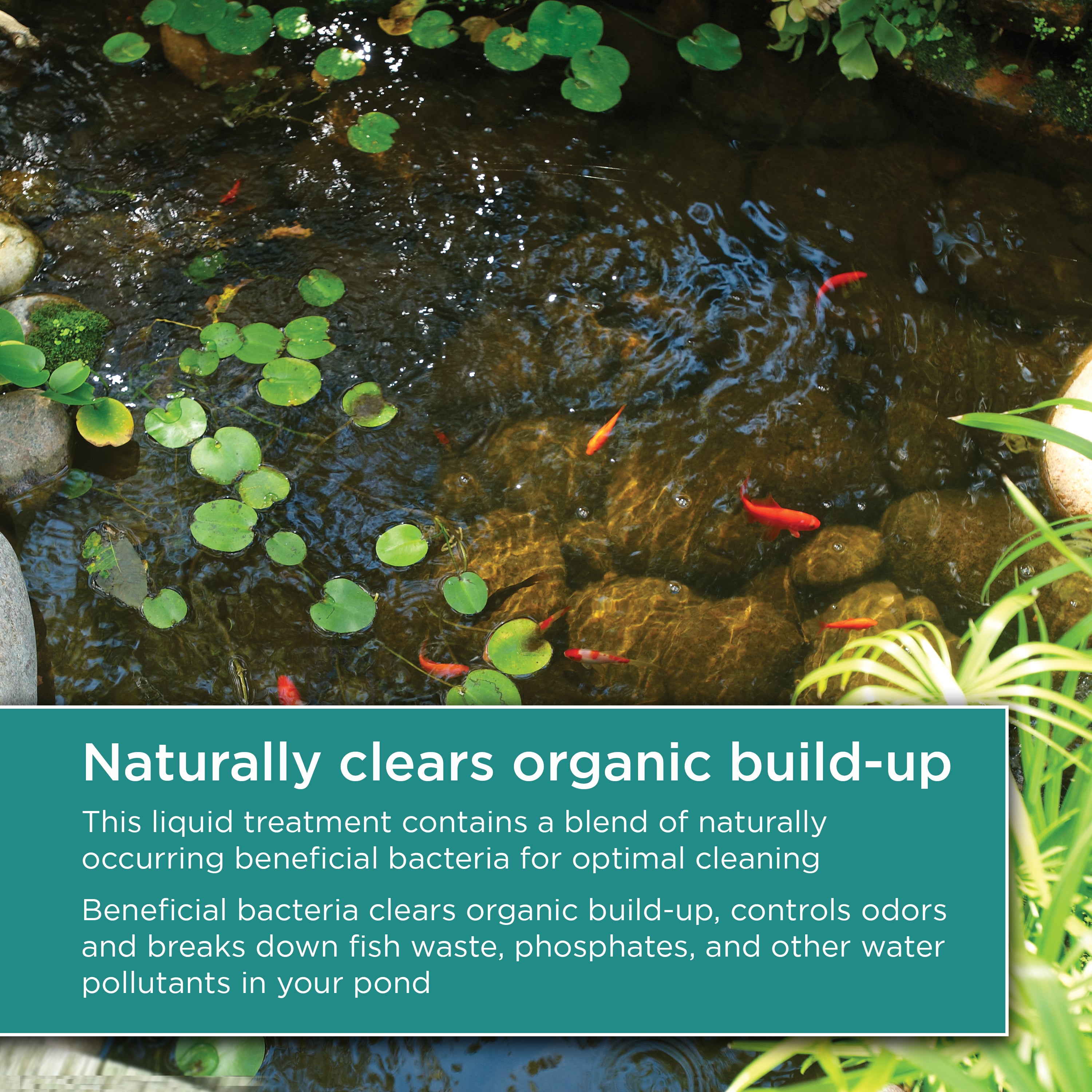 16 oz. Sludge Remover