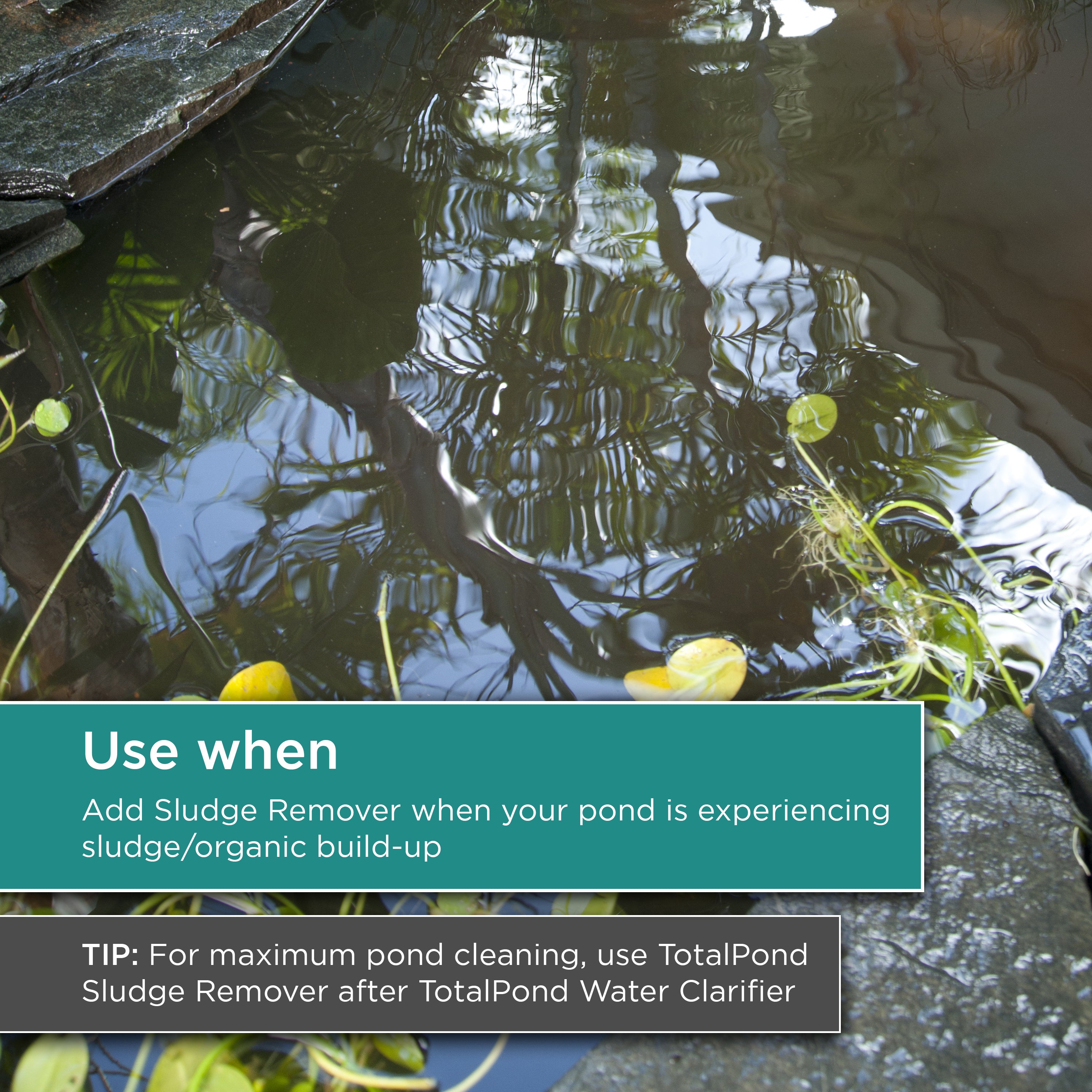 16 oz. Sludge Remover