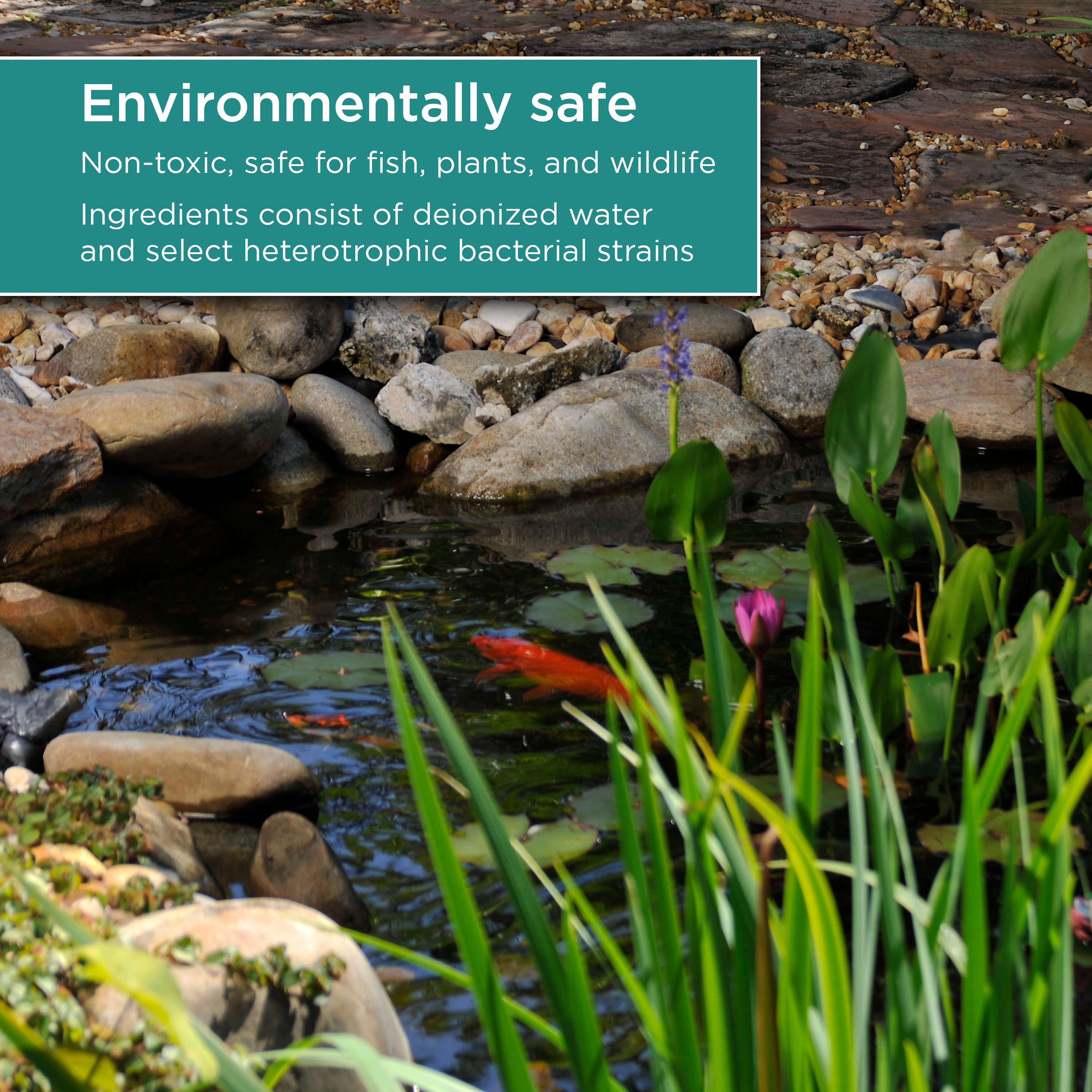 16 oz. Sludge Remover