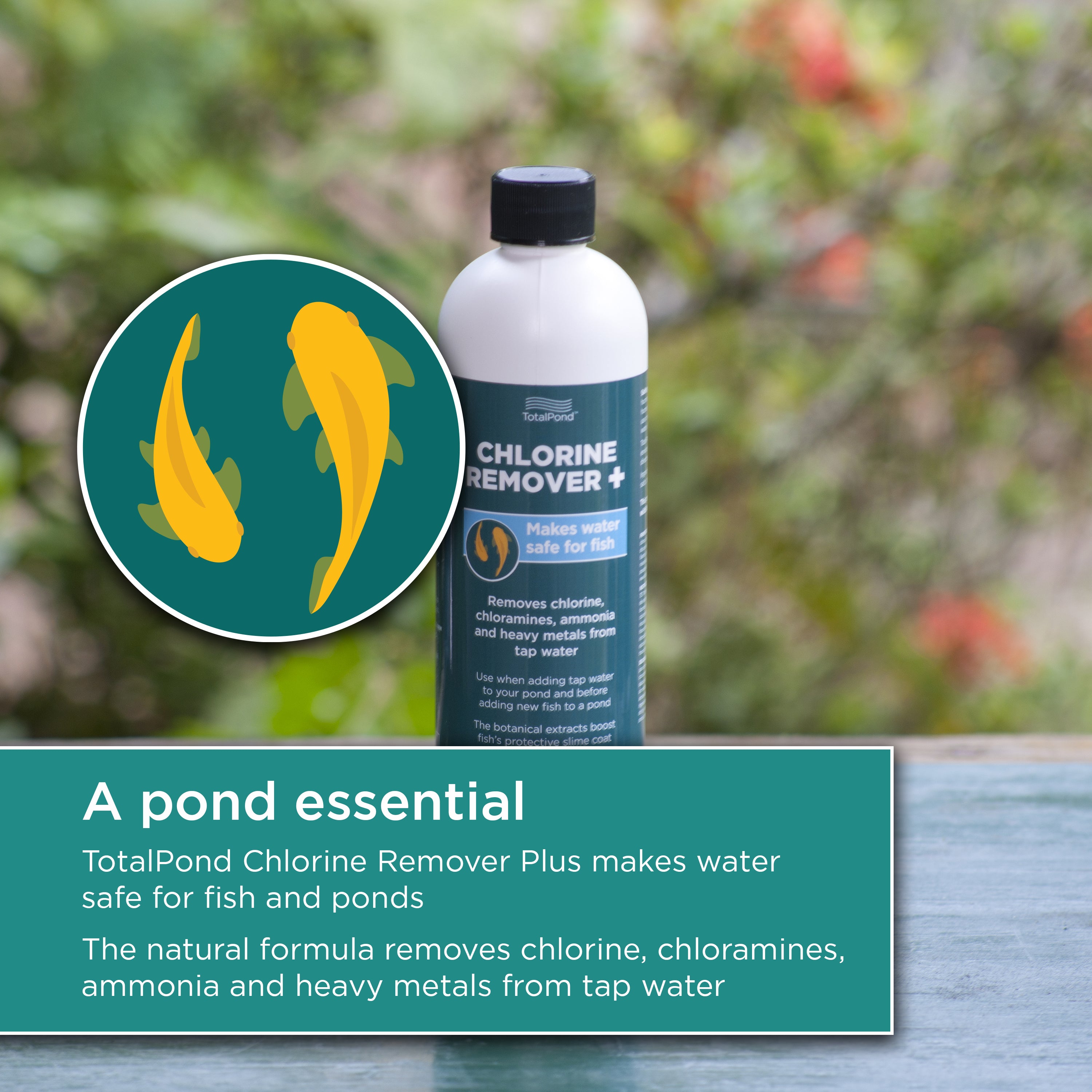 16 oz. Chlorine Remover Plus