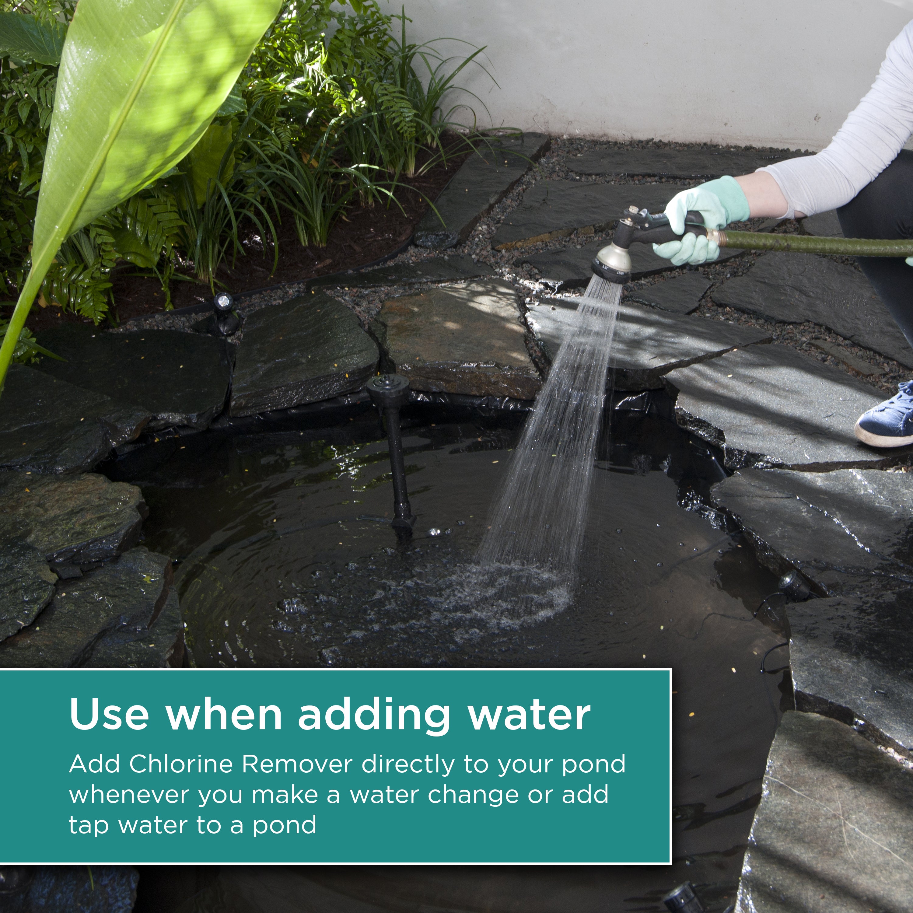 16 oz. Chlorine Remover Plus