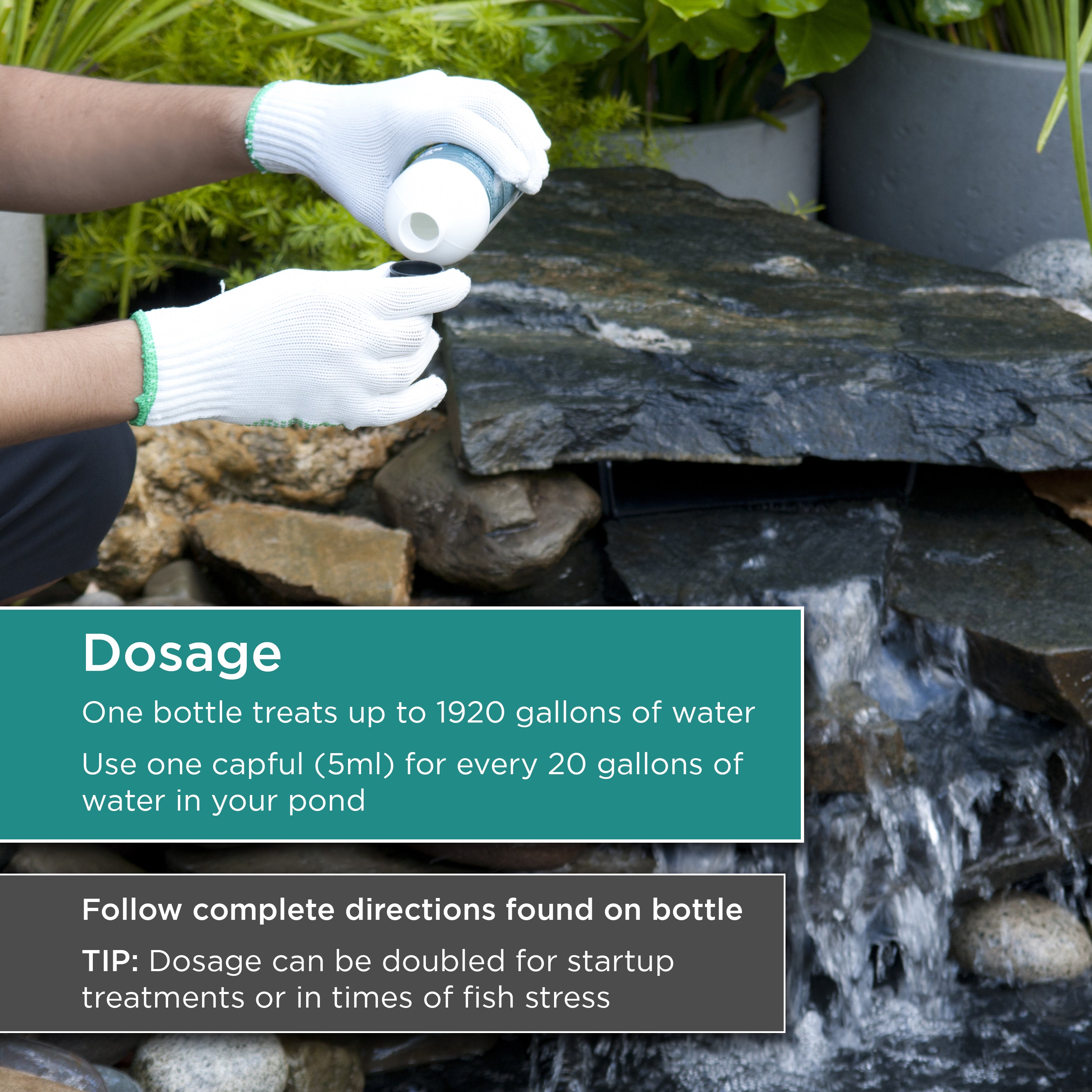 16 oz. Chlorine Remover Plus