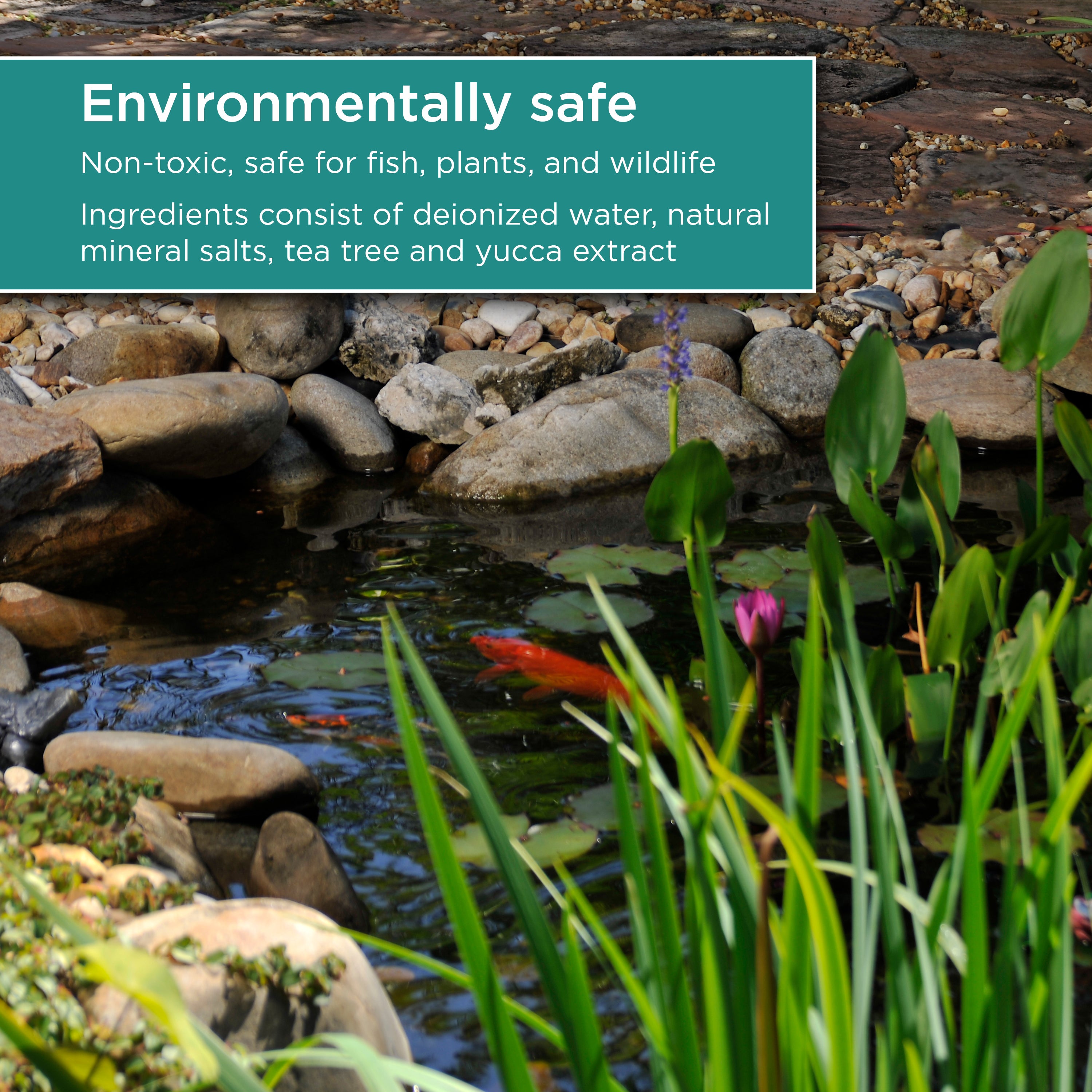 16 oz. Chlorine Remover Plus