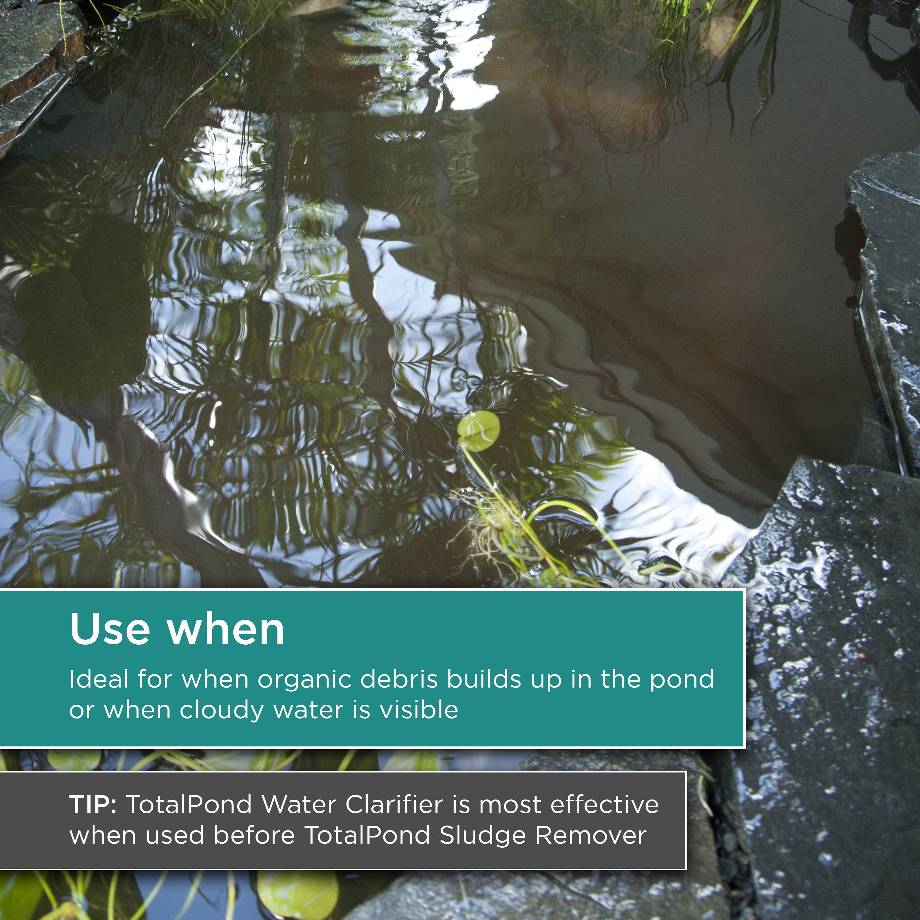 16 oz. Water Clarifier