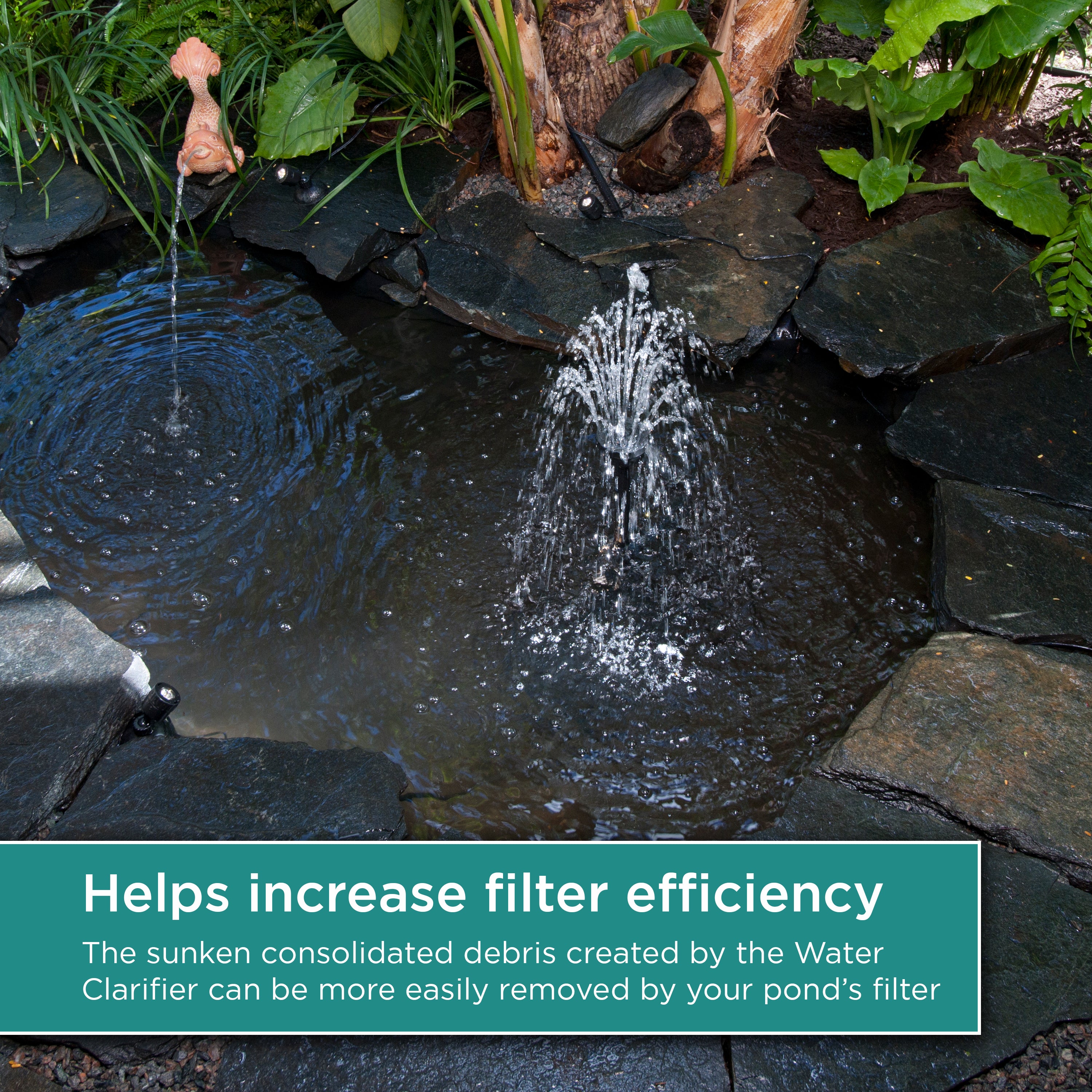 16 oz. Water Clarifier