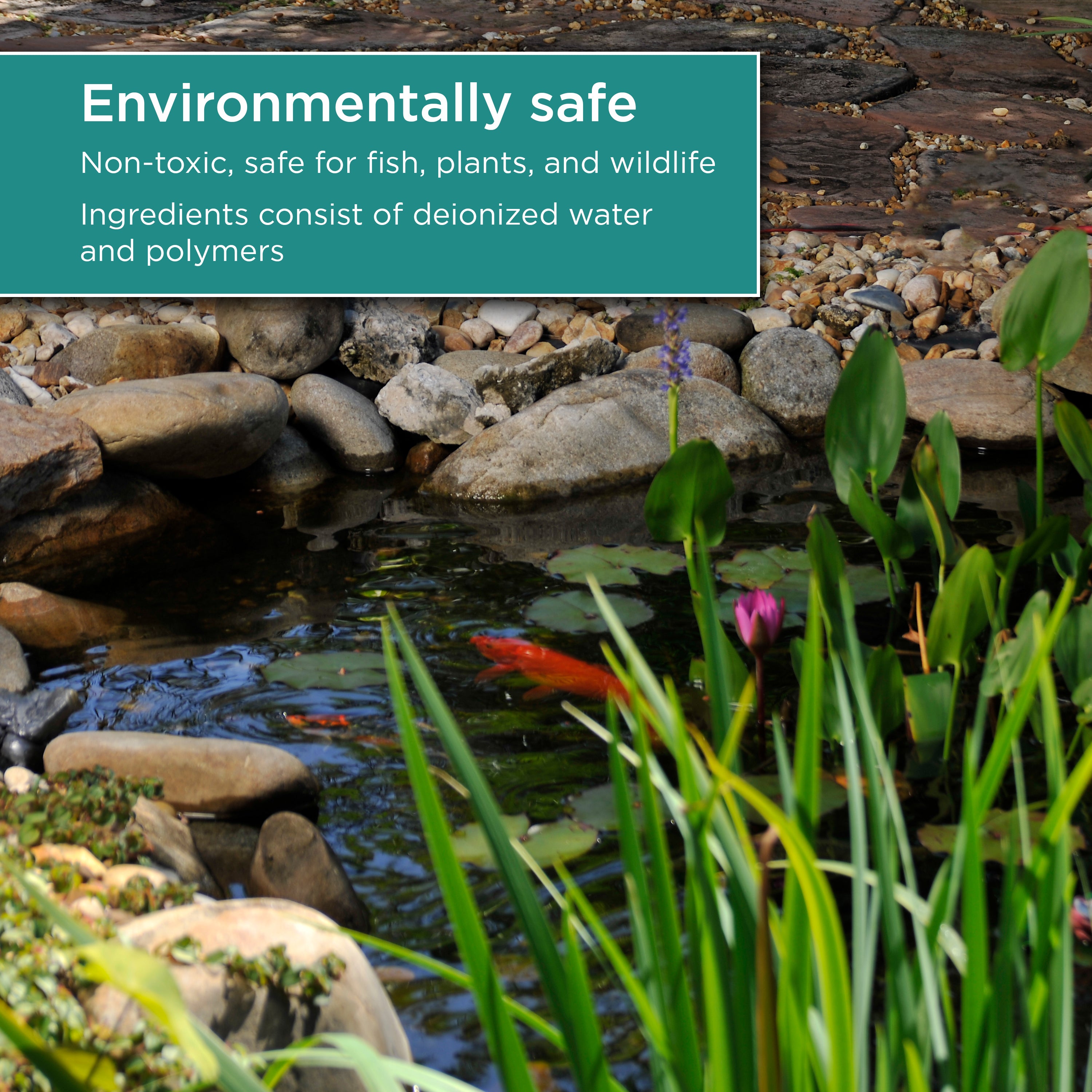 16 oz. Water Clarifier