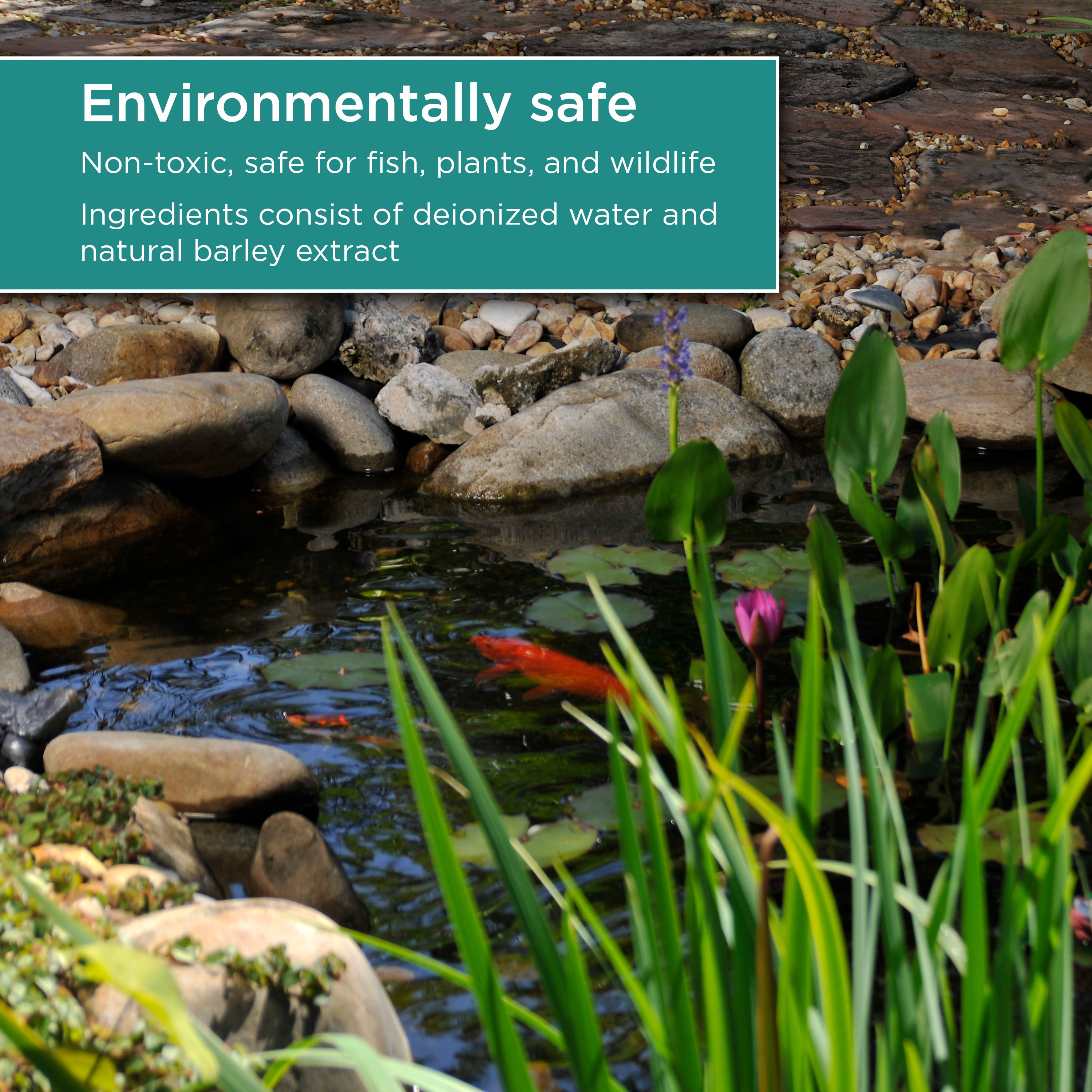 8 oz. Barley Extract