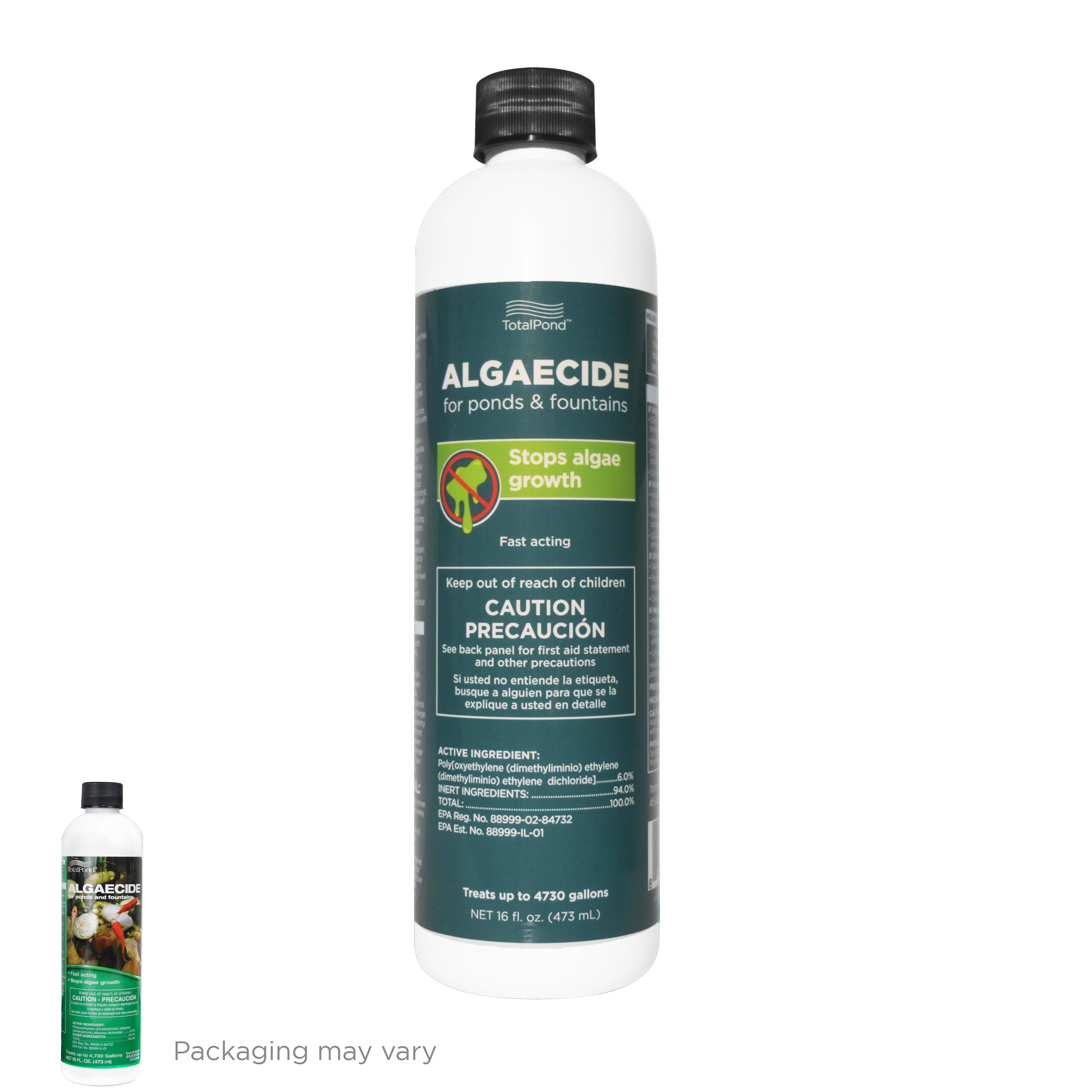 16 oz. Algaecide