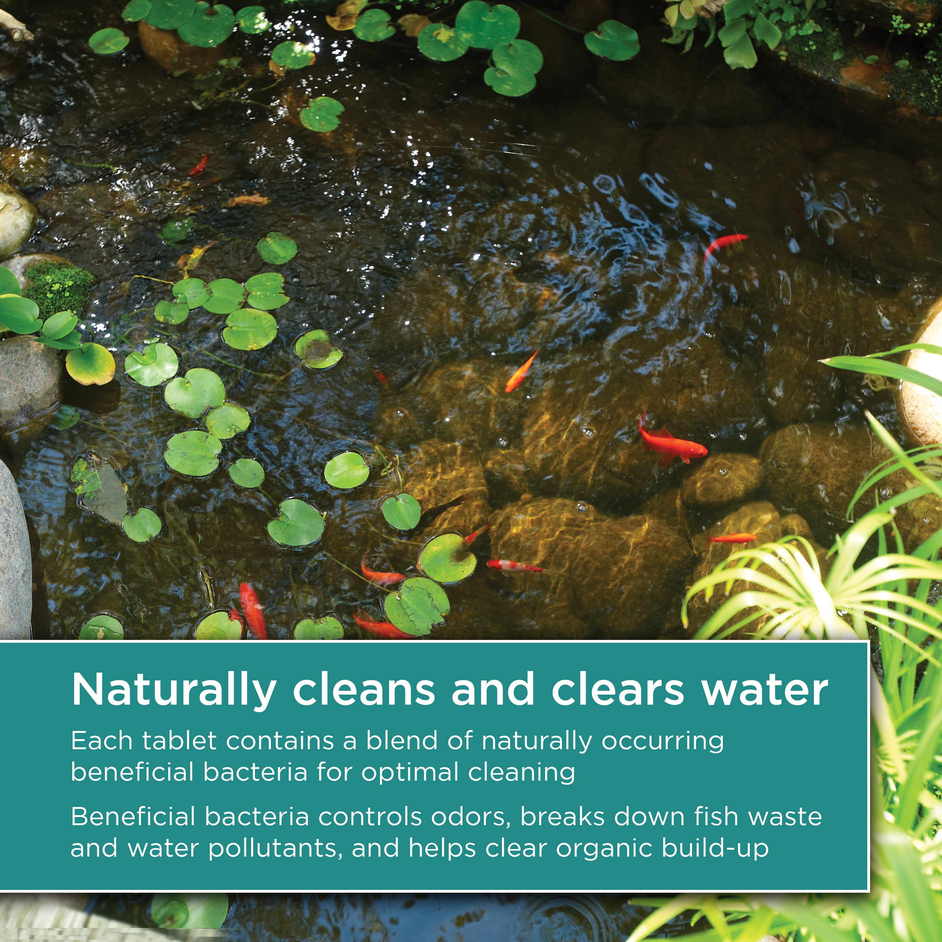 Pond Maintenance Tablets, 4 Pack