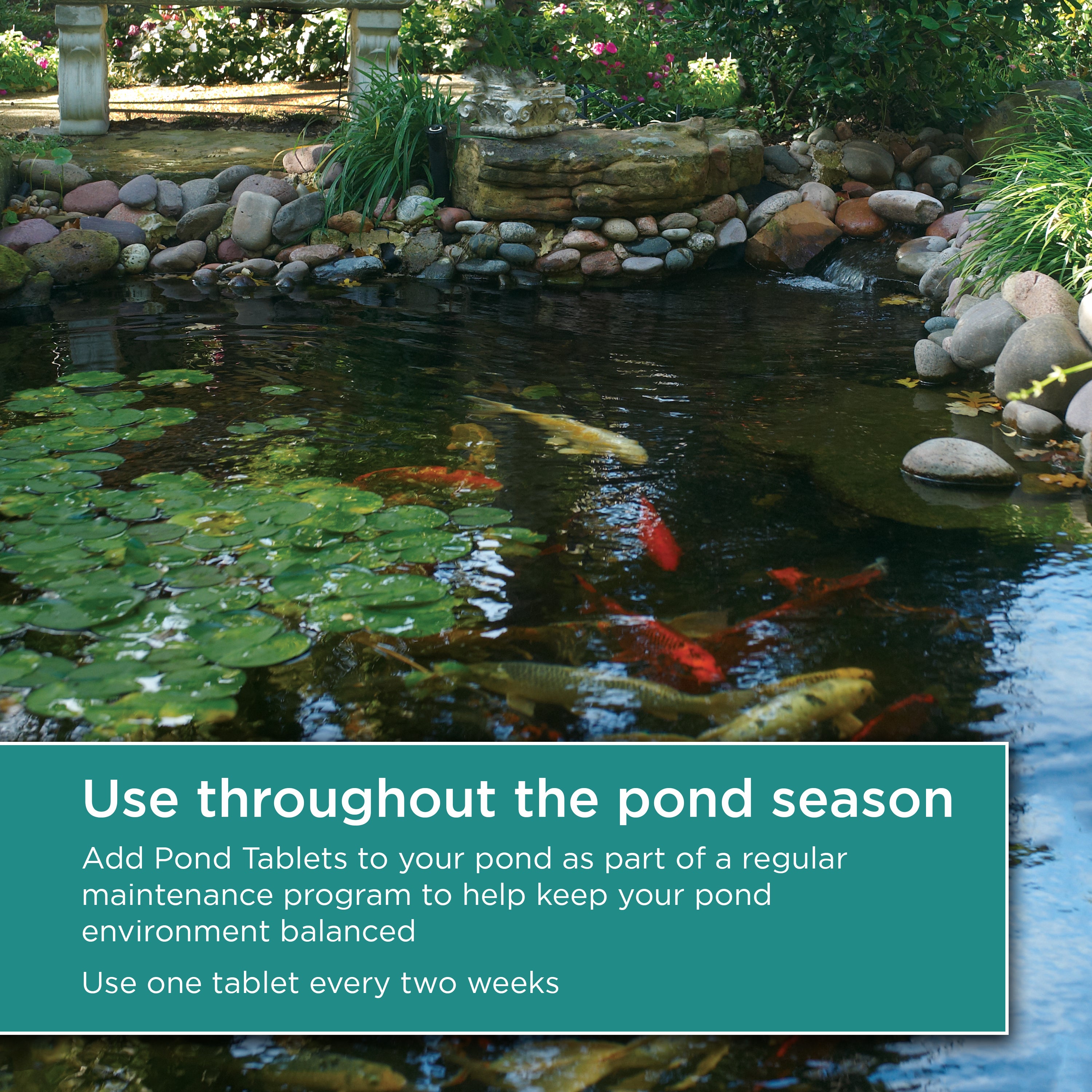 Pond Maintenance Tablets, 4 Pack