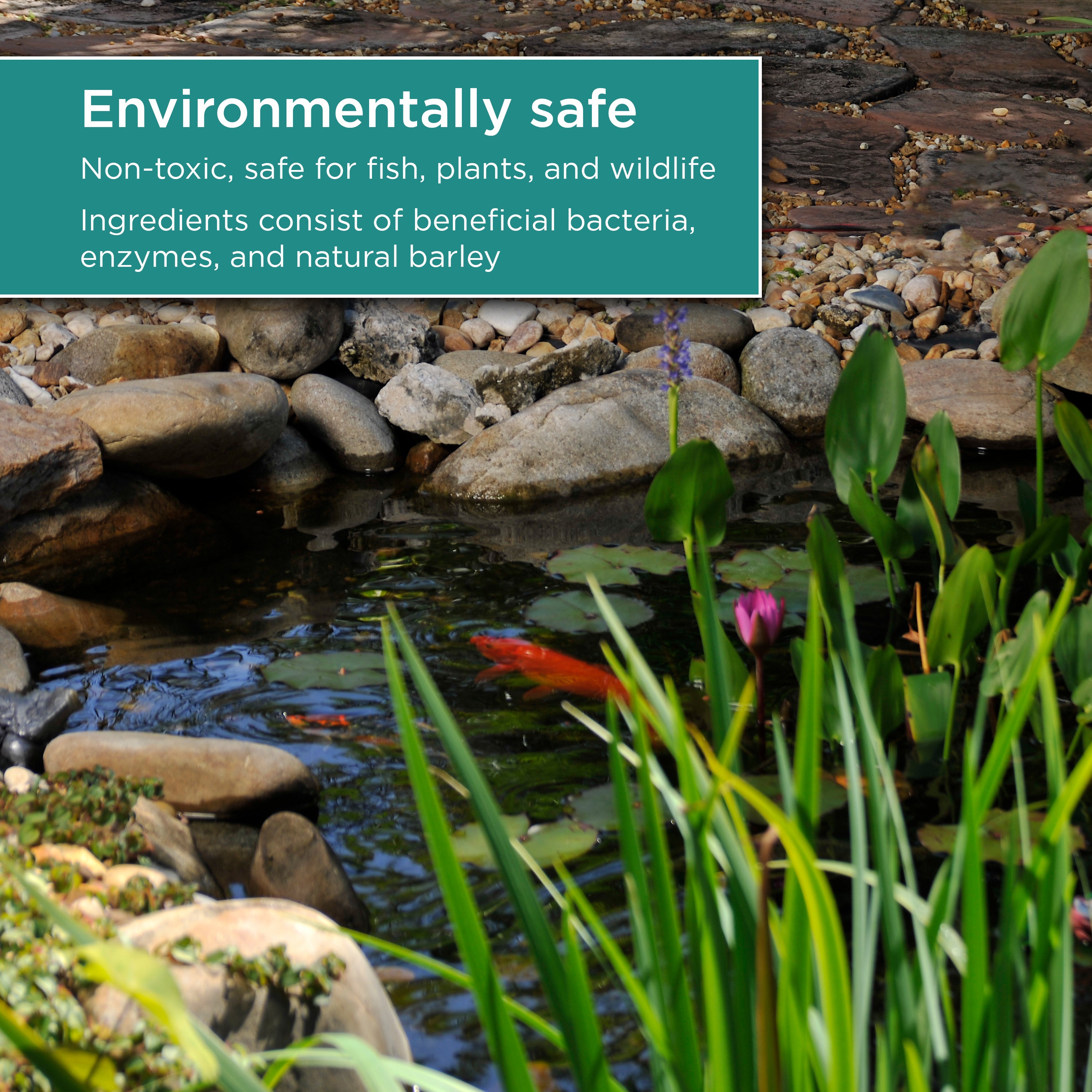 Pond Maintenance Tablets, 4 Pack