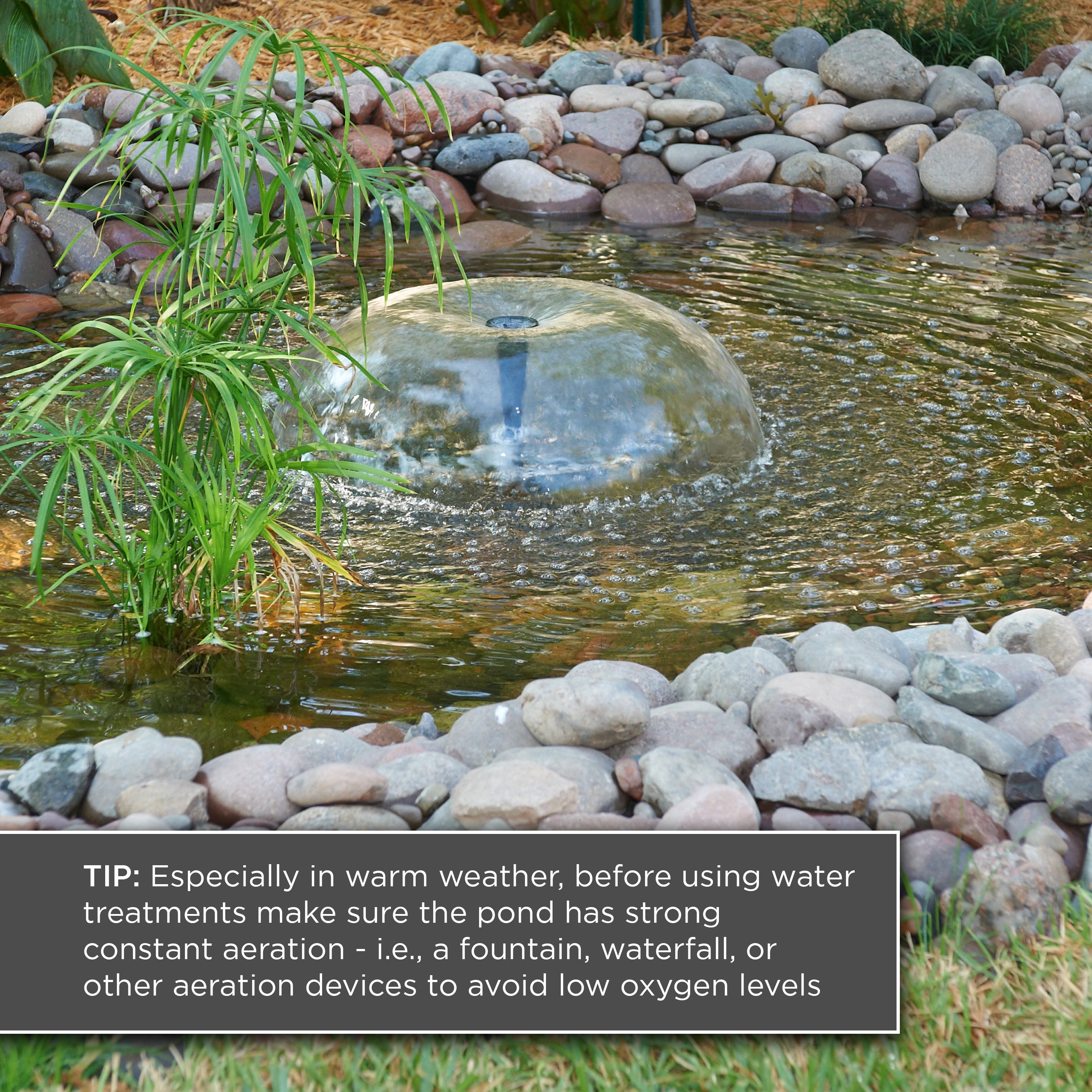 Pond Maintenance Tablets, 4 Pack