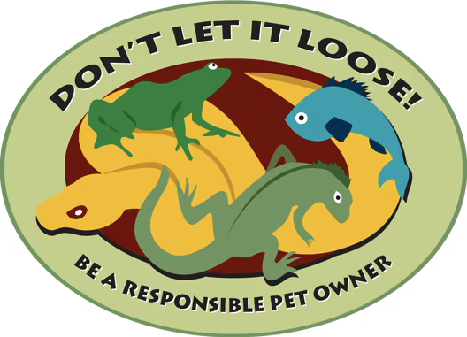 Don't Let It Loose - Promoting Responsible Pet Ownership