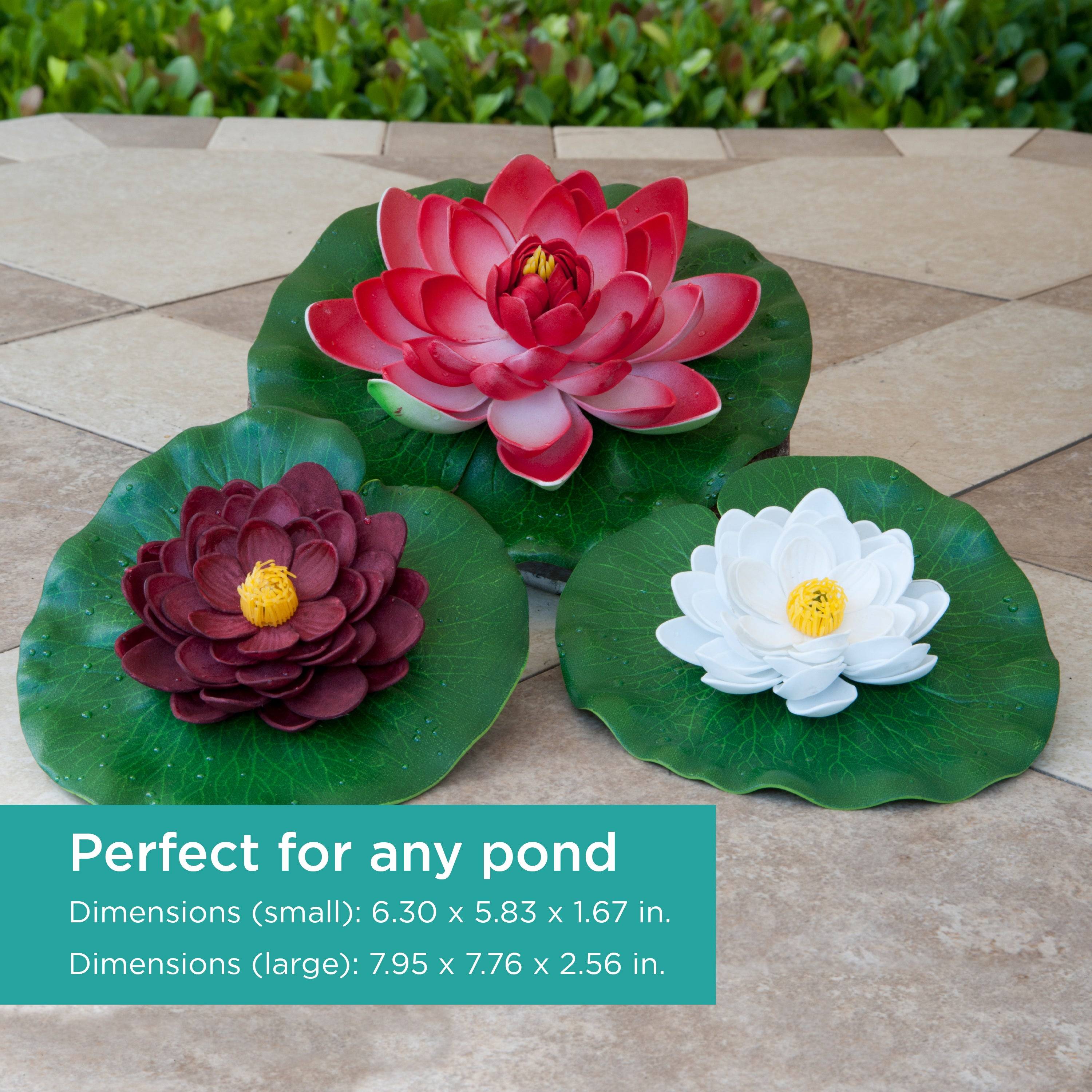 Floating Lily Pad Variety Pack is perfect for any pond - dimensions for small and large sizes