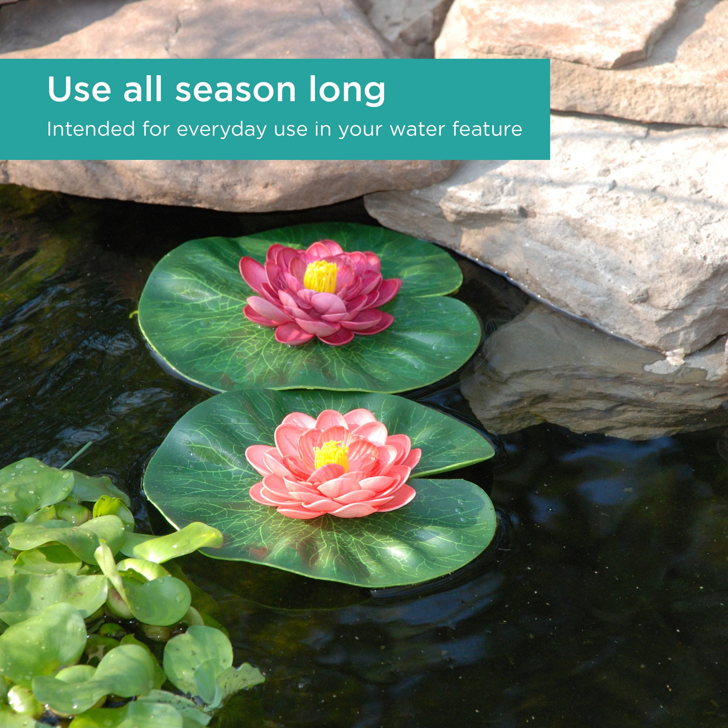 Floating Lily Pad Variety Pack is perfect for all season long