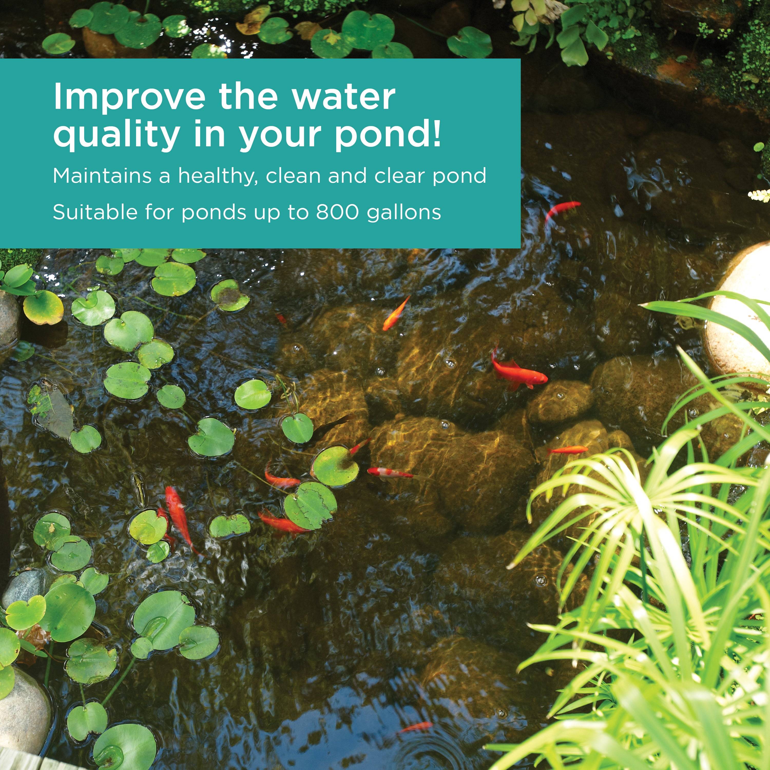 Pond Filter with UV Clarifier improves the water quality in your pond 