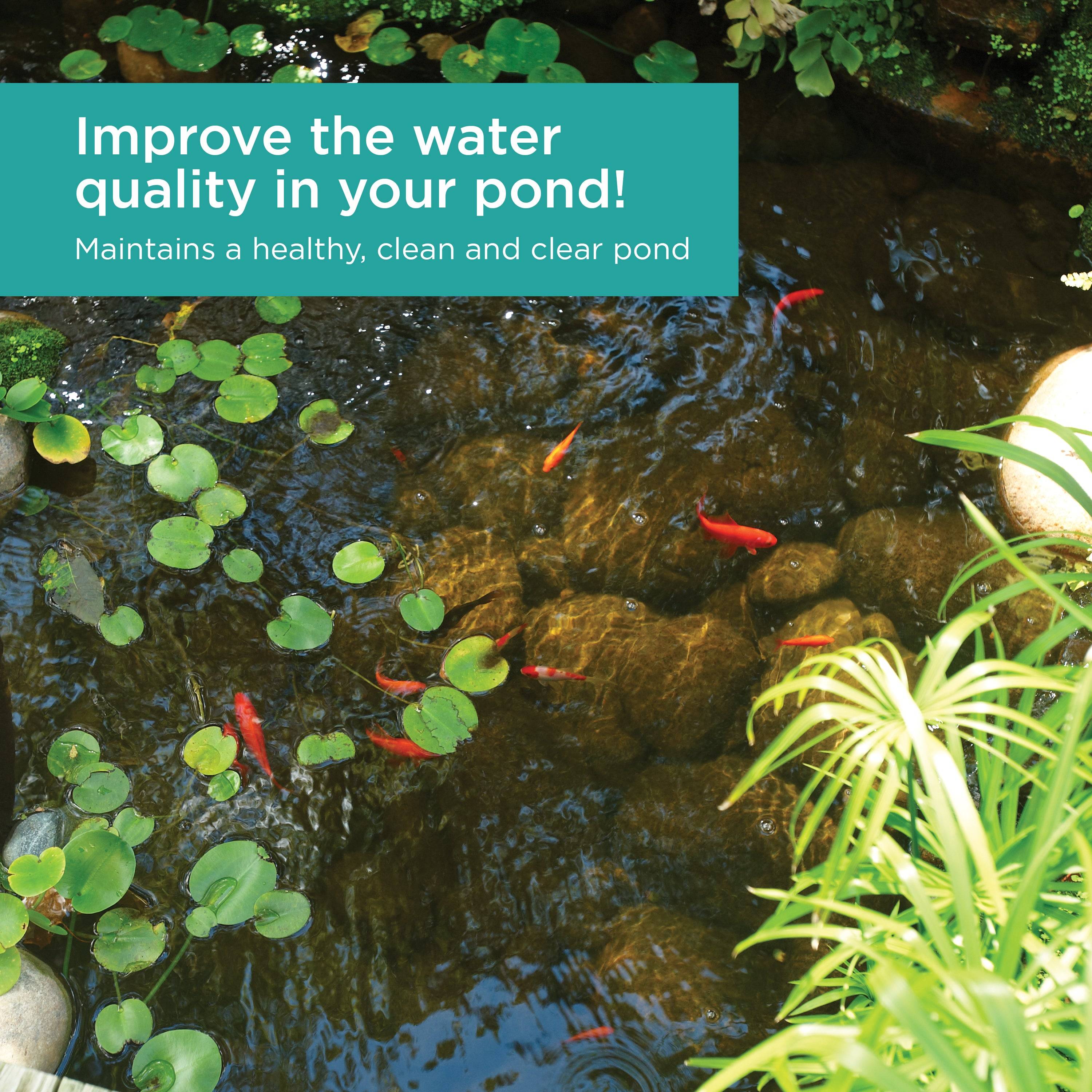 Universal Pump Filter Box improves the water quality in your pond