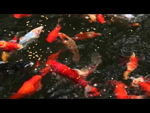 Learn more about our construction accessories