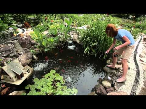 Learn more about Omnitrades lighting