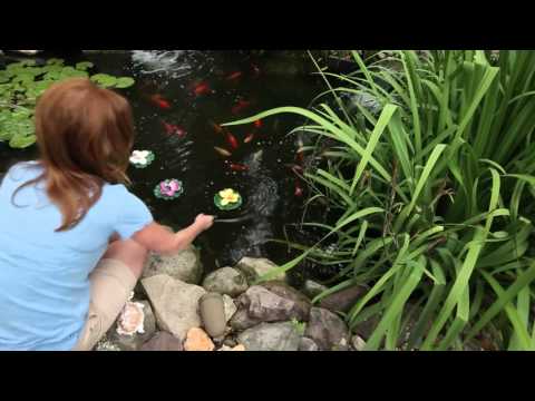 Learn more about Omnitrades floating lily pads