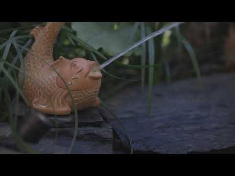 All-in-One Pond Bundle