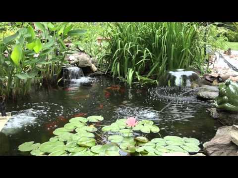 Learn more about Omnitrades pond pumps