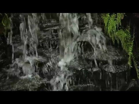 Pond Filter with UV Clarifier