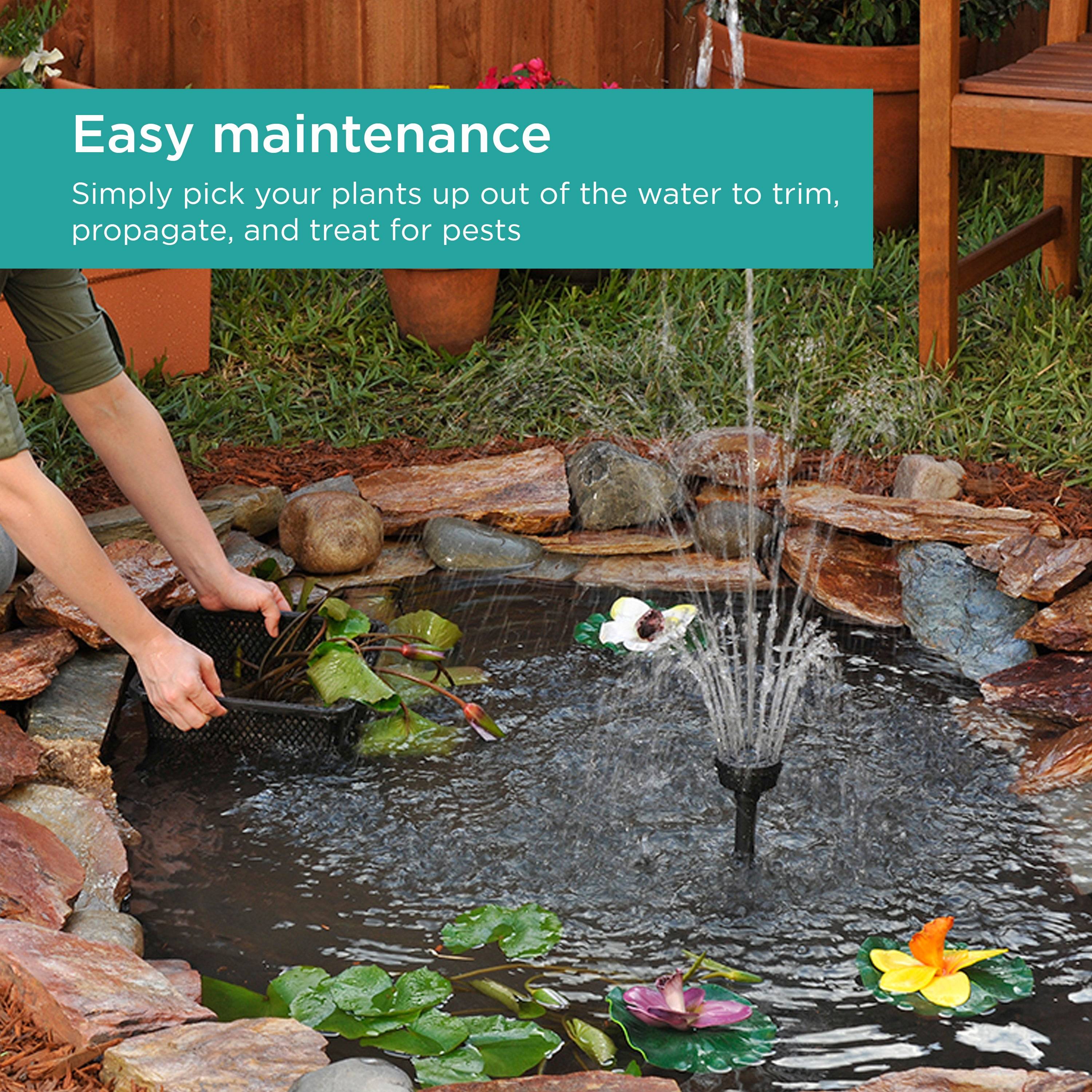 Aquatic Plant Basket features easy maintenance