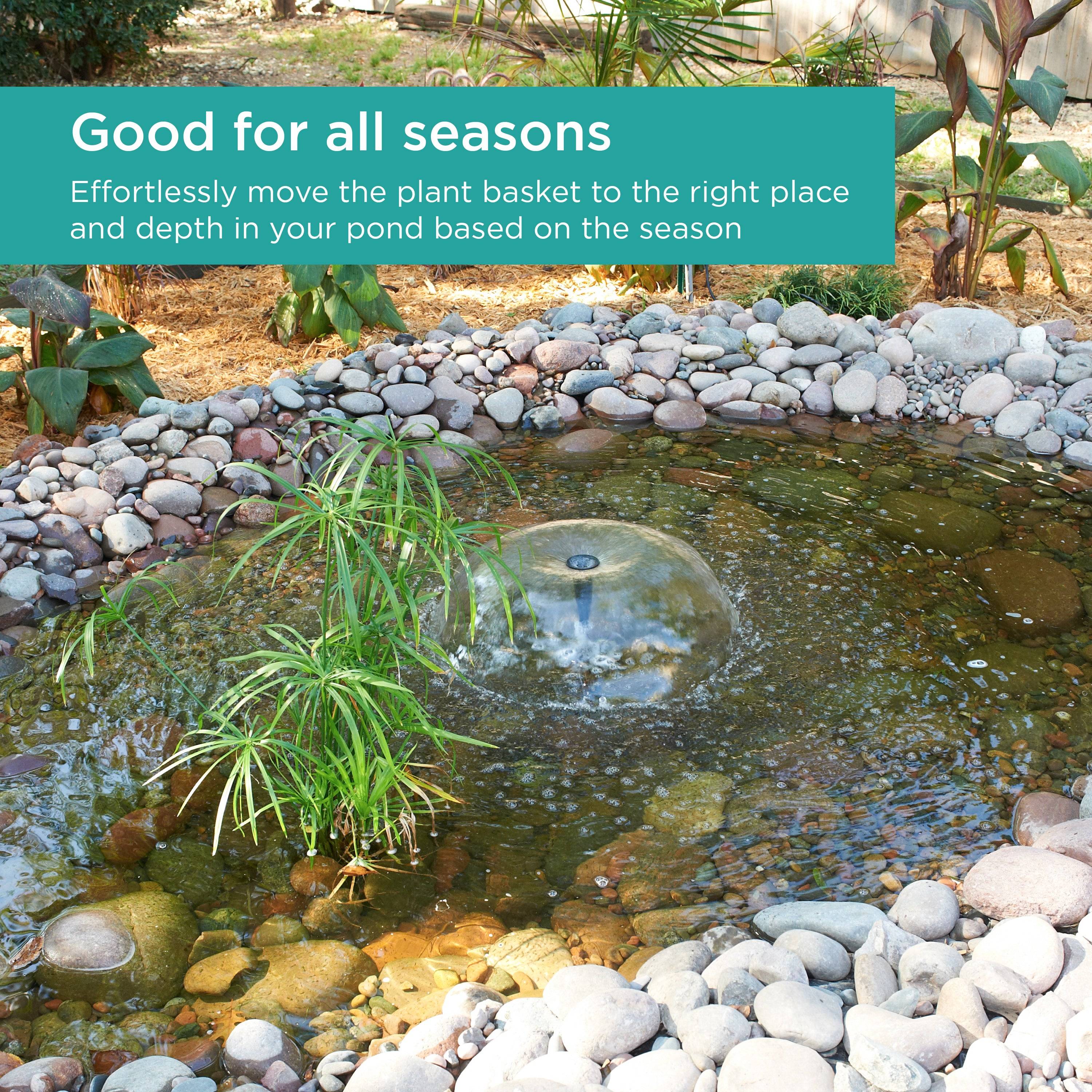 Aquatic Plant Basket is good for all seasons