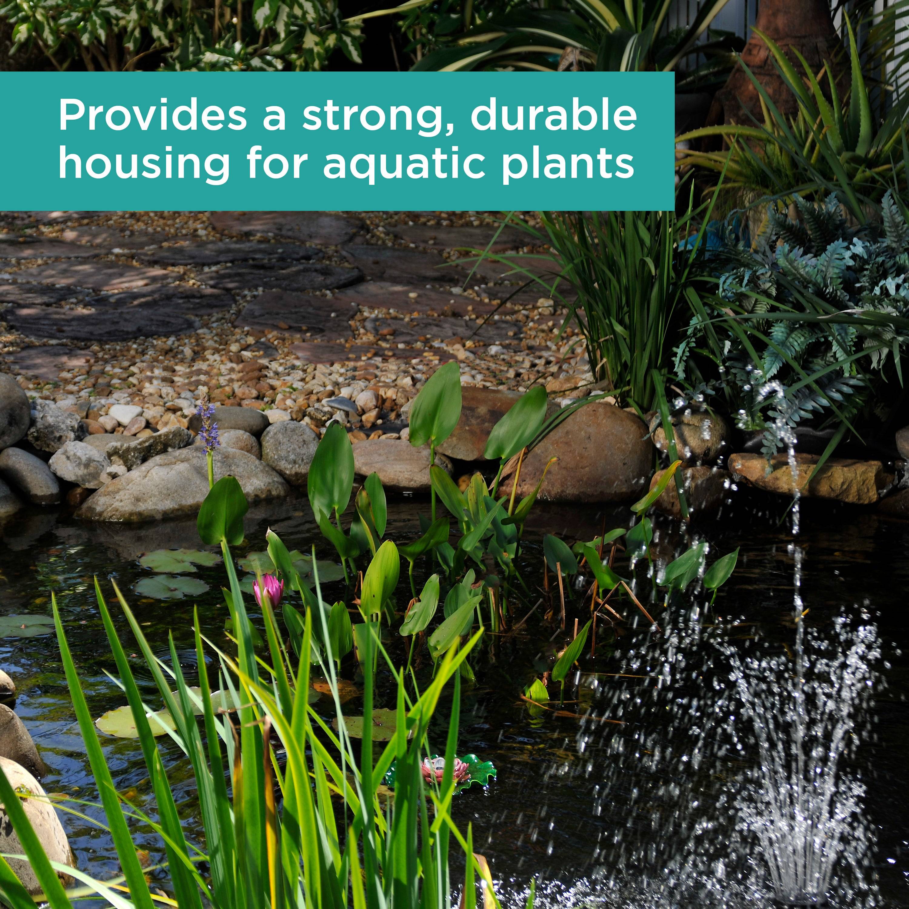 Aquatic Plant Basket provides a strong, durable, housing for aquatic plants