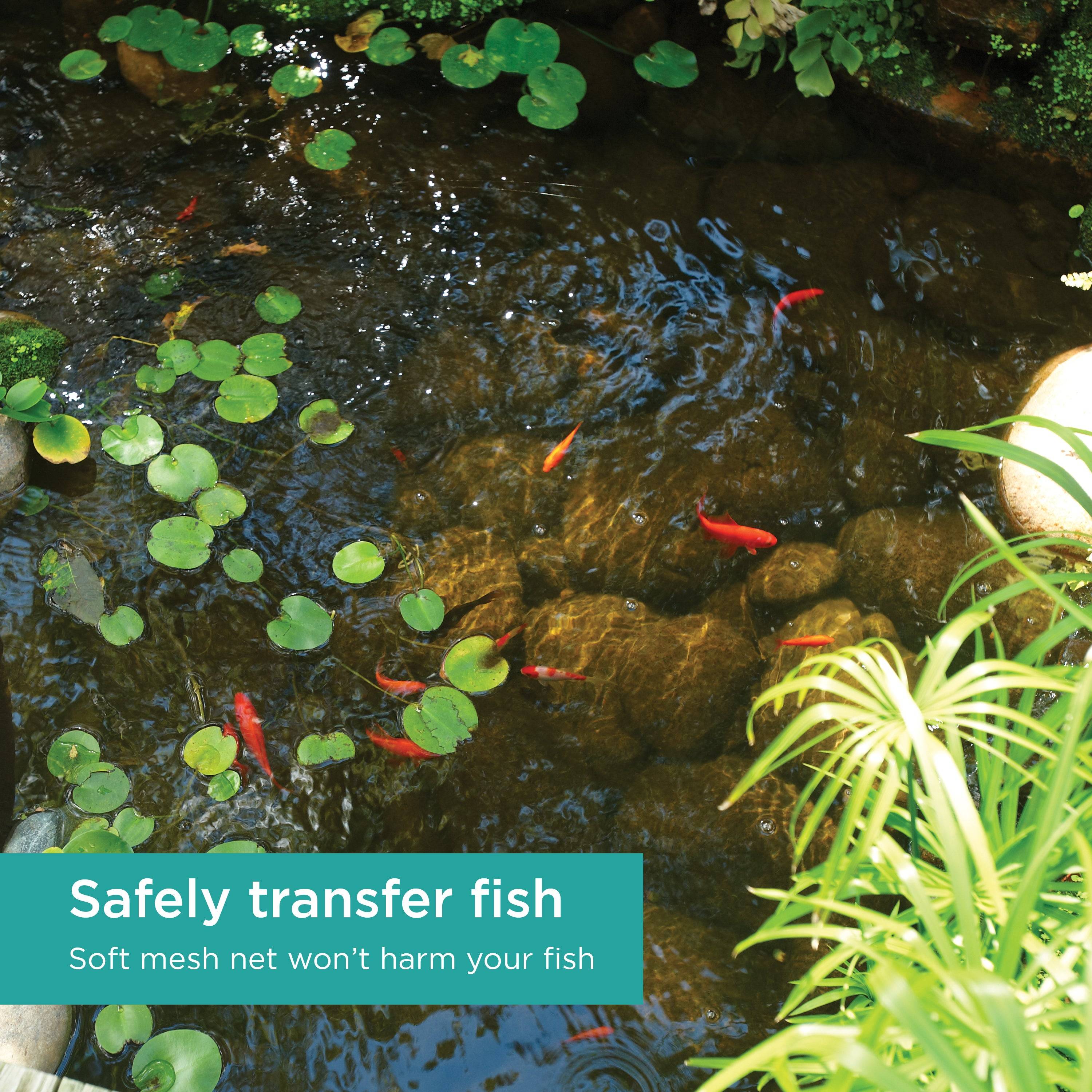 Skimmer Fish Net features soft mesh that allows a safe fish transfer