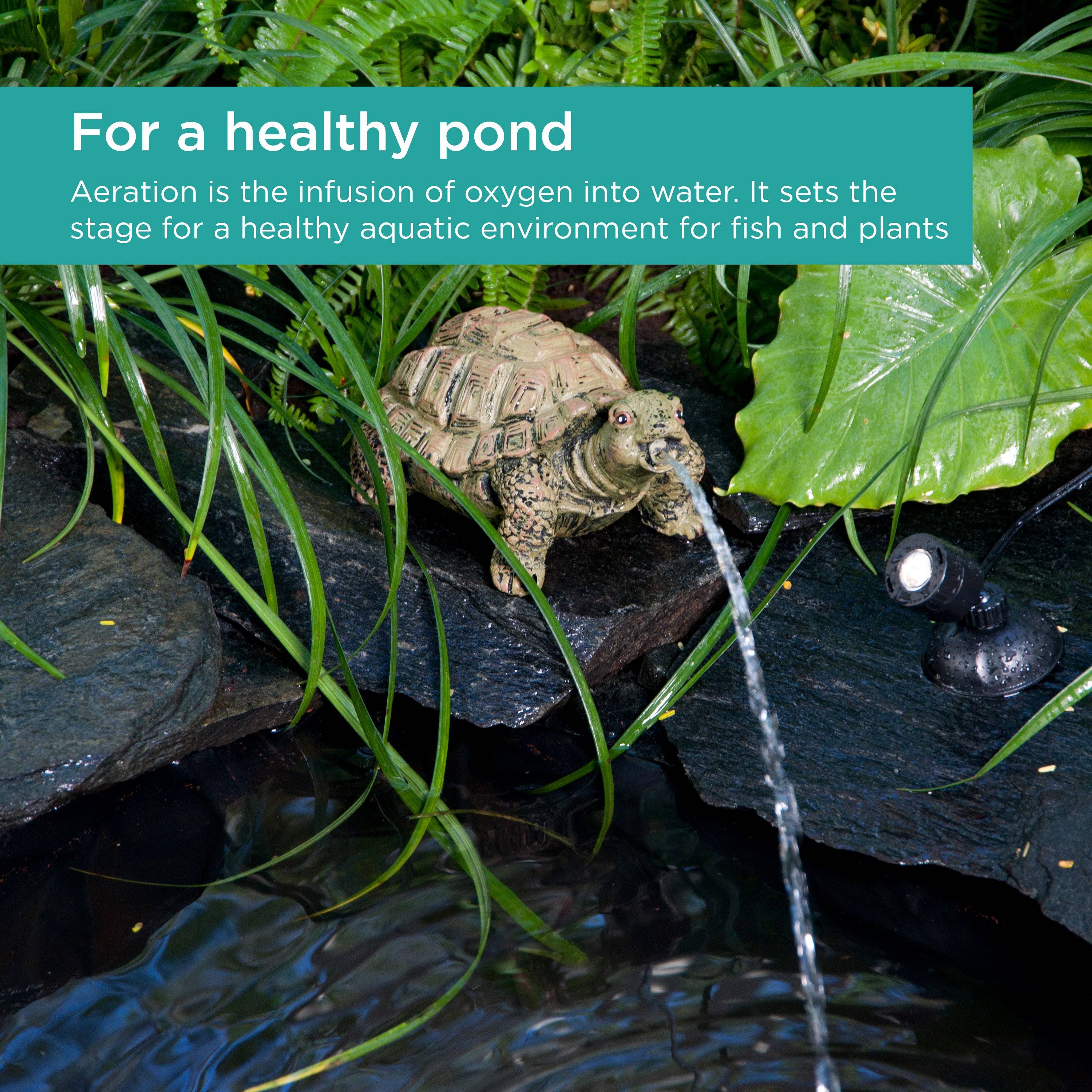 Turtle Spitter adds aeration to create a healthy aquatic environment
